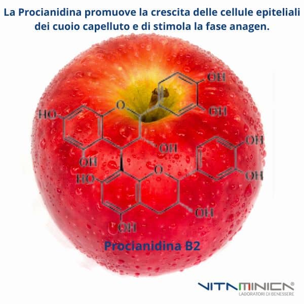 La mela annurca campana contiene la procianidina B2